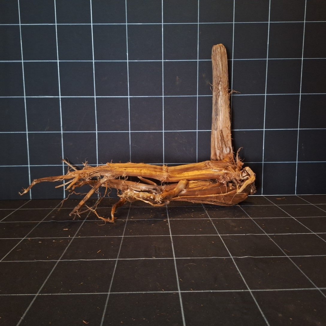 Tuskwood Akvarierot WYSIWYG Äkta Bogwood Unik 58 cm P082620 - Image 6