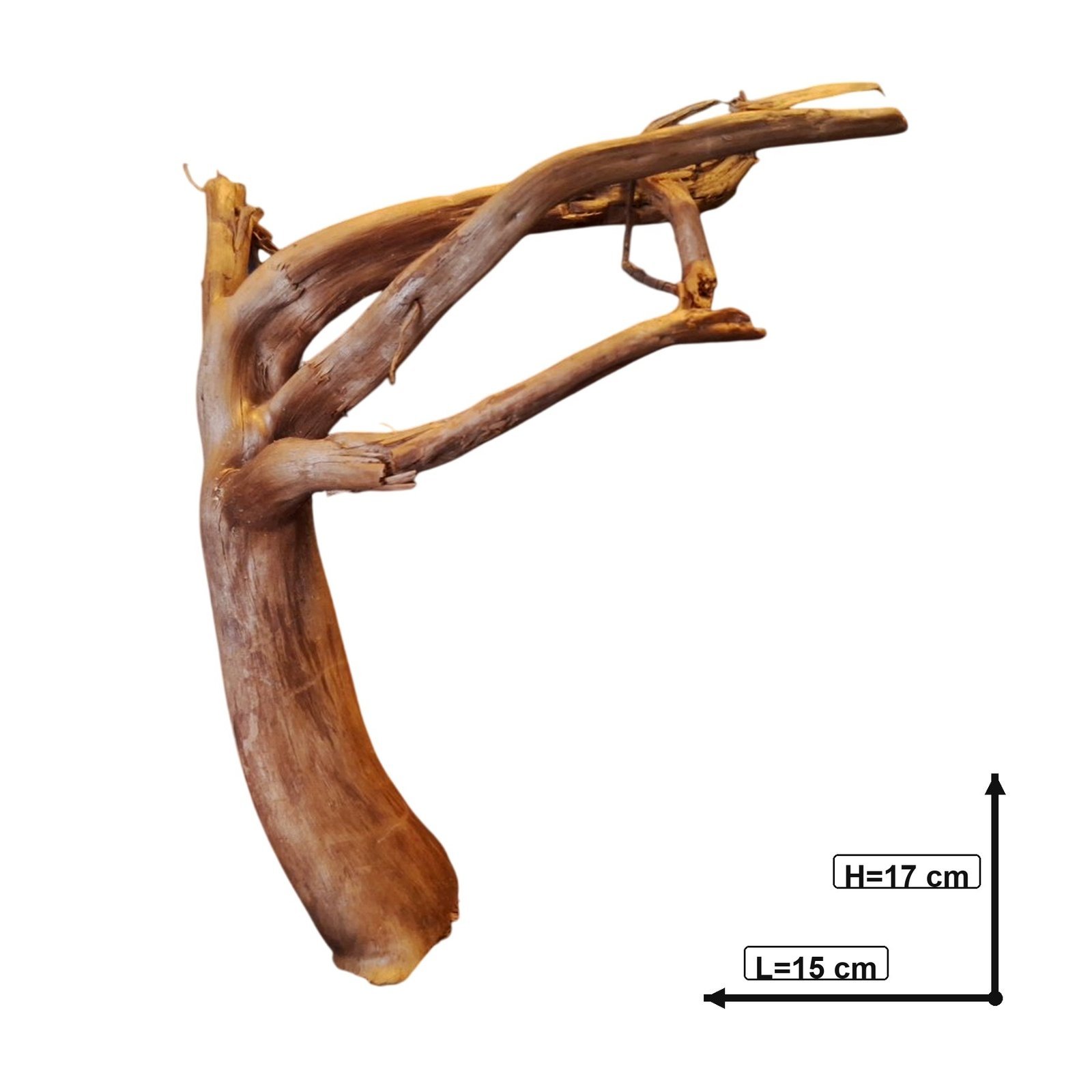 Tuskwood Akvarierot WYSIWYG Äkta Bogwood Unik 17 cm P082621 - obrazek 3