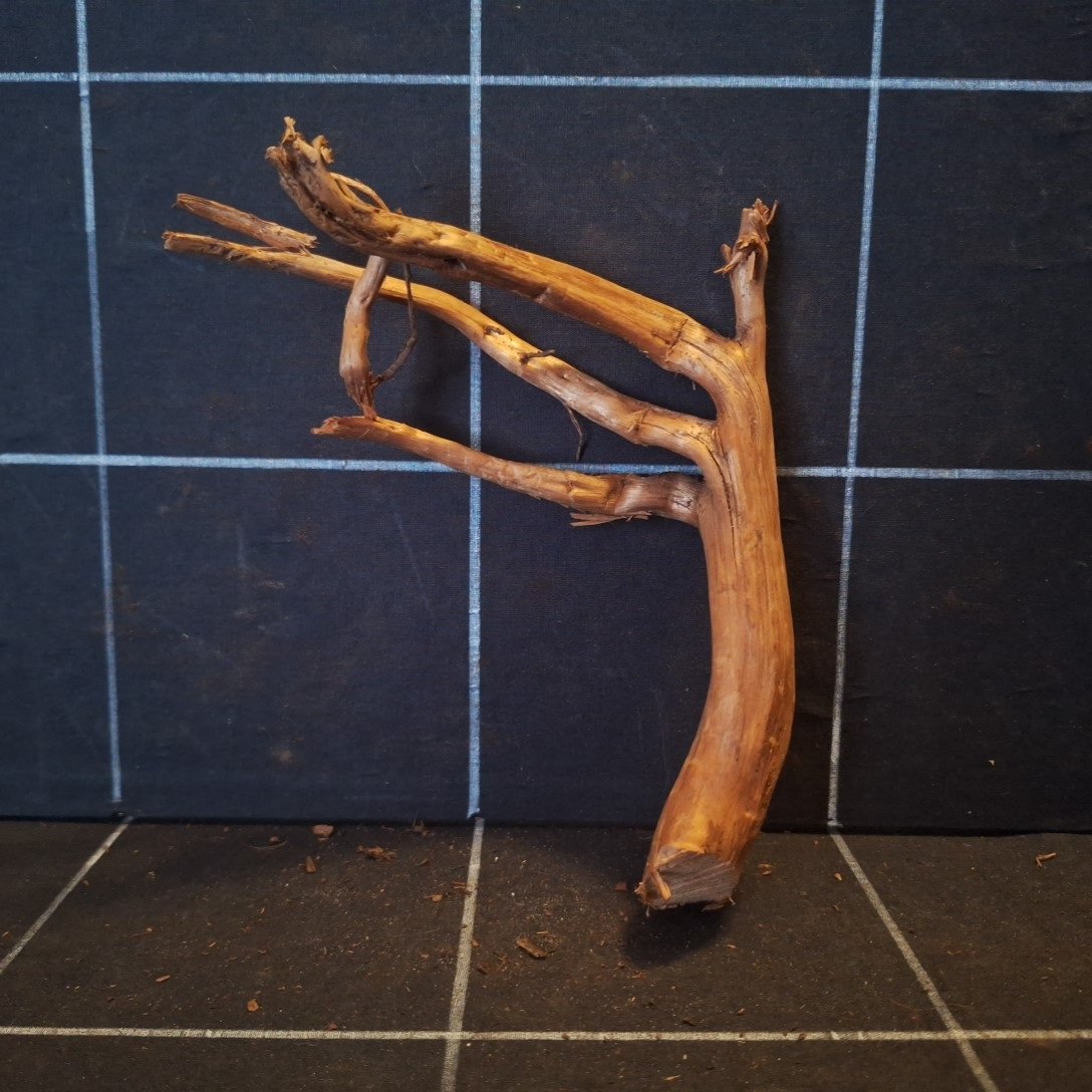 Tuskwood Akvarierot WYSIWYG Äkta Bogwood Unik 17 cm P082621 - obrazek 5
