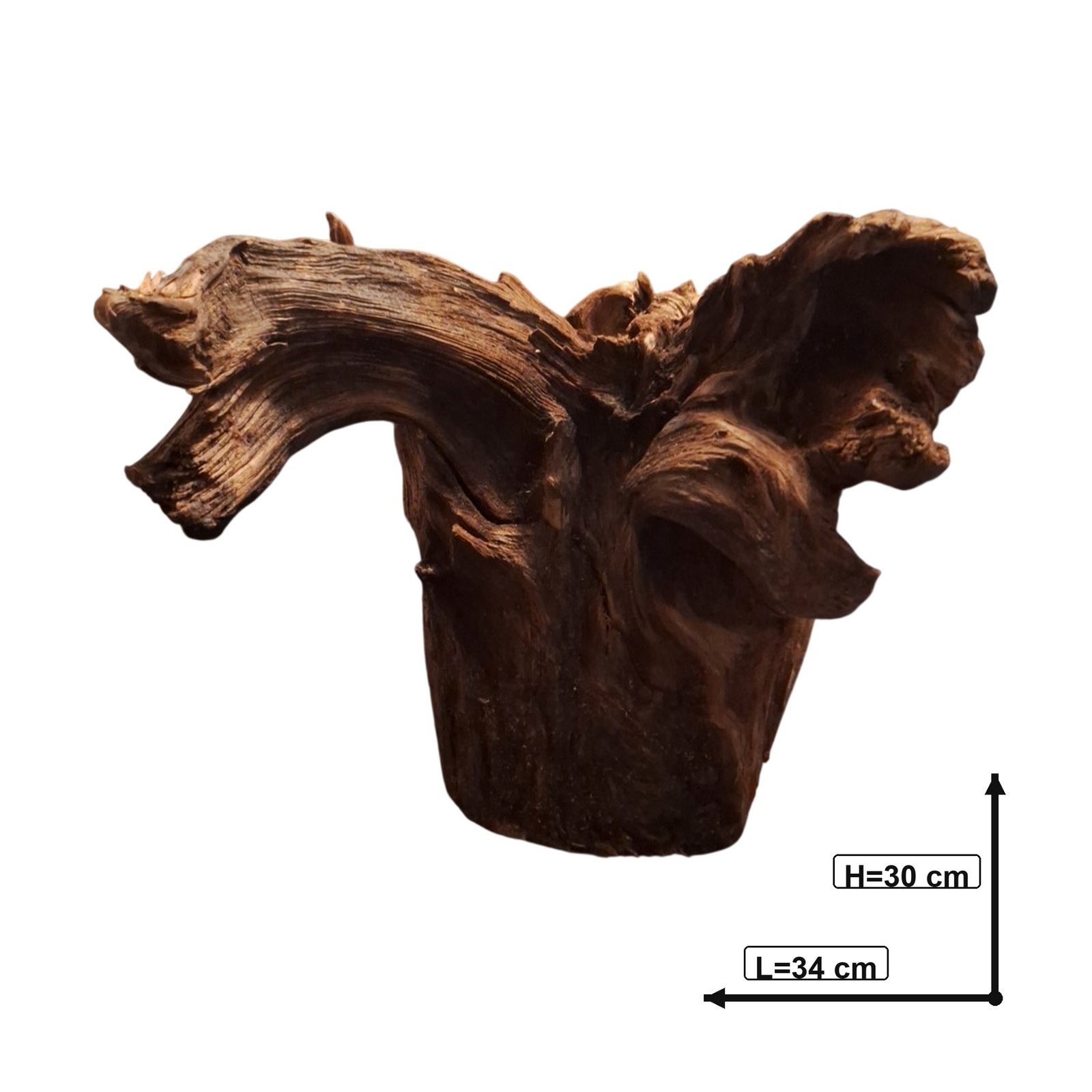 Tuskwood Akvarierot WYSIWYG Äkta Bogwood Unik 34 cm P082622 - obrazek 3