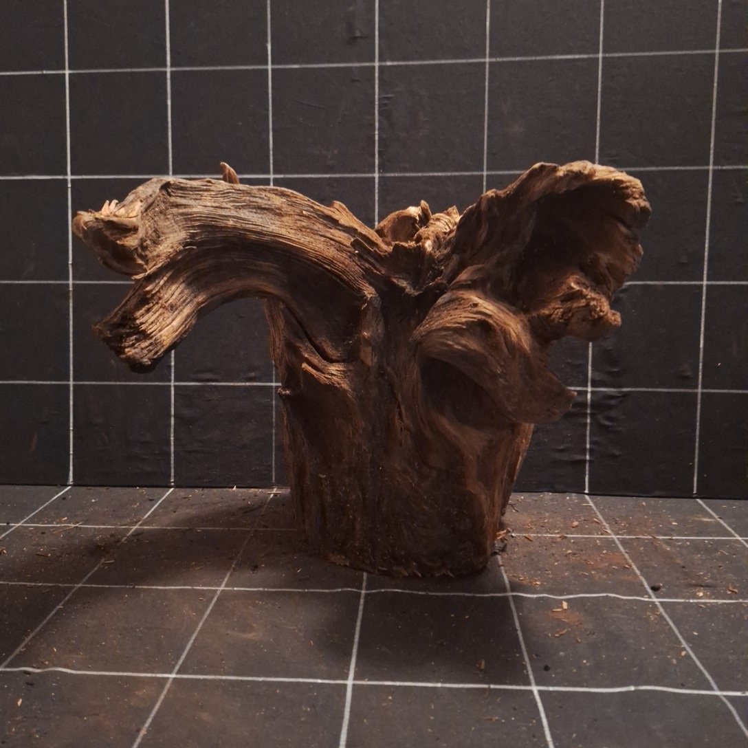 Tuskwood Akvarierot WYSIWYG Äkta Bogwood Unik 34 cm P082622 - obrazek 4