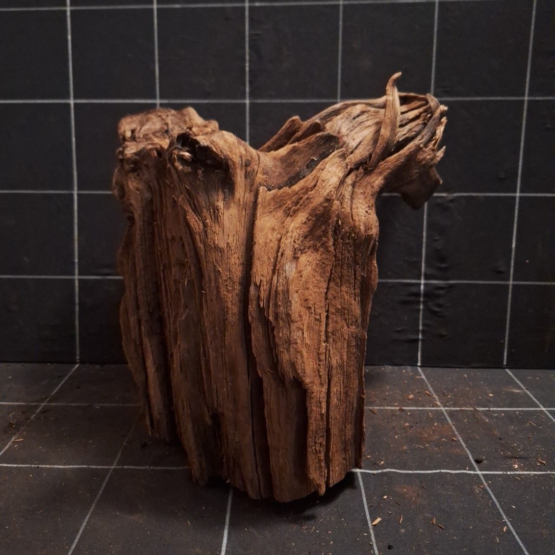 Tuskwood Akvarierot WYSIWYG Äkta Bogwood Unik 34 cm P082622 - obrazek 5