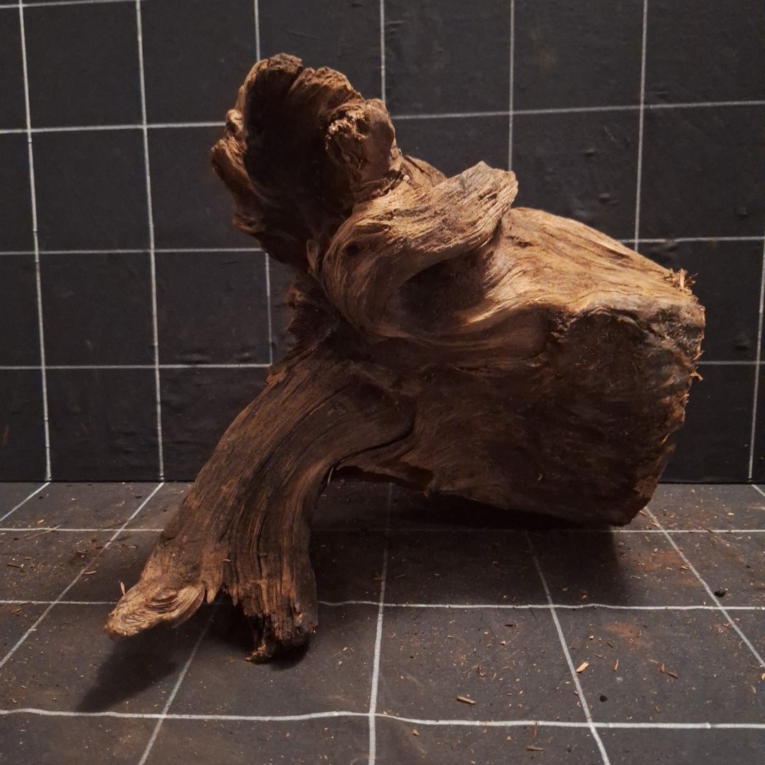 Tuskwood Akvarierot WYSIWYG Äkta Bogwood Unik 34 cm P082622 - obrazek 6