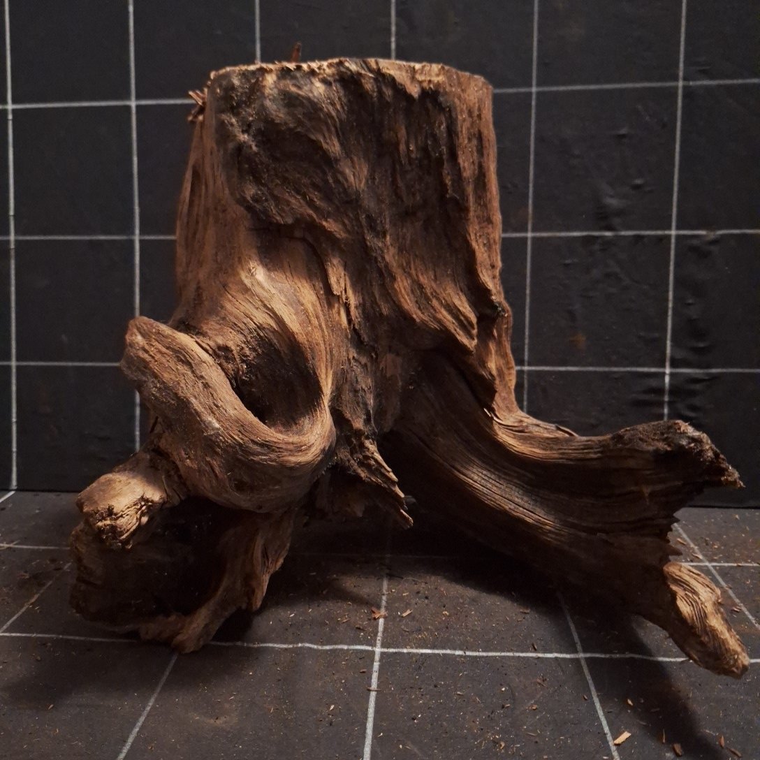Tuskwood Akvarierot WYSIWYG Äkta Bogwood Unik 34 cm P082622 - obrazek 7