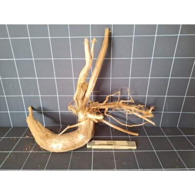 Tuskwood Aquarienwurzel aus echtem Moorholz, 70 cm, P092618