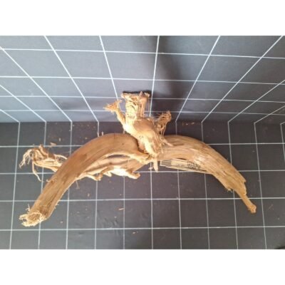 Tuskwood Aquarienwurzel aus echtem Moorholz, 70 cm, P092618
