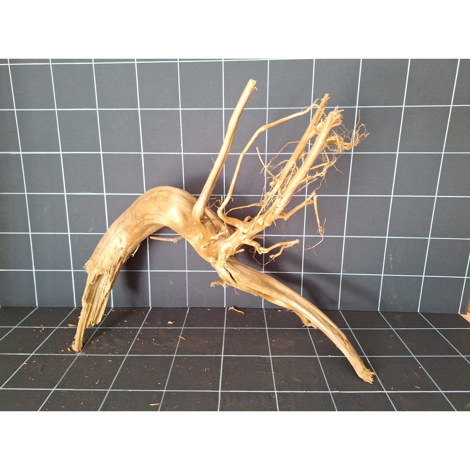 Tuskwood Aquarienwurzel aus echtem Moorholz, 70 cm, P092618