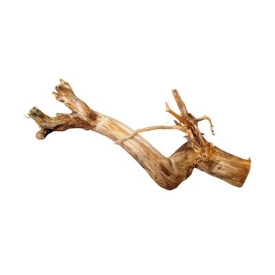 Frilagd Tuskwood akvarierot WYSIWYG äkta bogwood 42 cm P092619 mot vit bakgrund