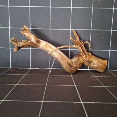 Tuskwood akvarierot äkta bogwood 42 cm P092619 sedd framifrån