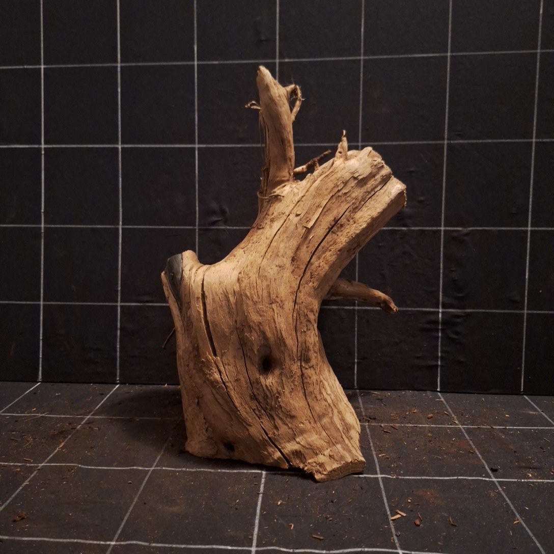 Tuskwood Akvarierot WYSIWYG Äkta Bogwood Unik 36 cm P092622 – Bild 4