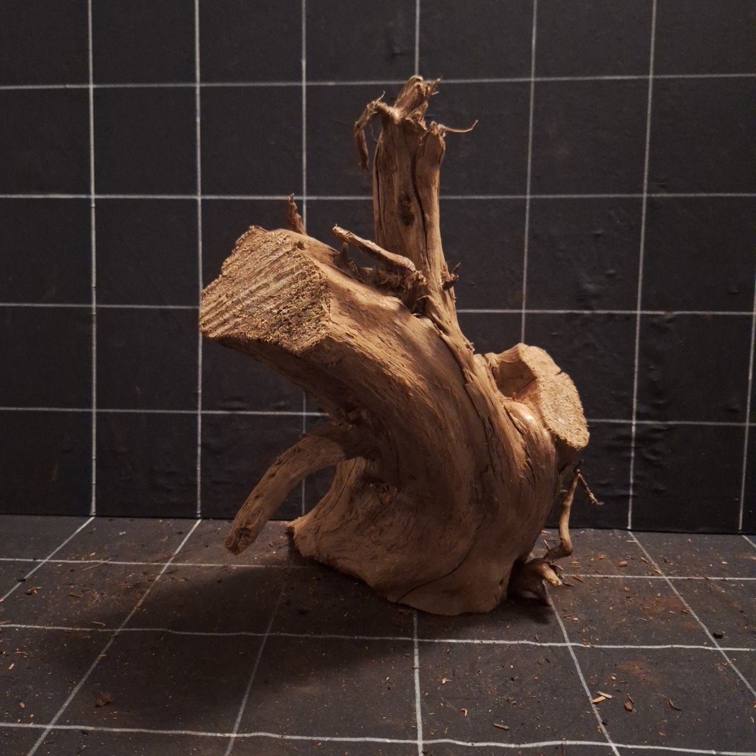 Tuskwood Akvarierot WYSIWYG Äkta Bogwood Unik 36 cm P092622 – Bild 5