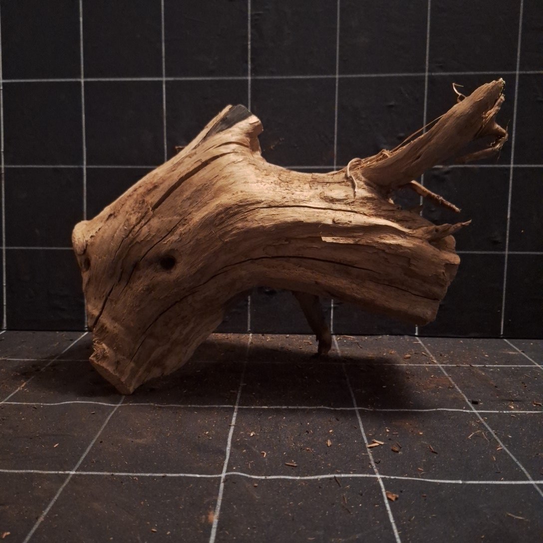 Tuskwood Akvarierot WYSIWYG Äkta Bogwood Unik 36 cm P092622 – Bild 6