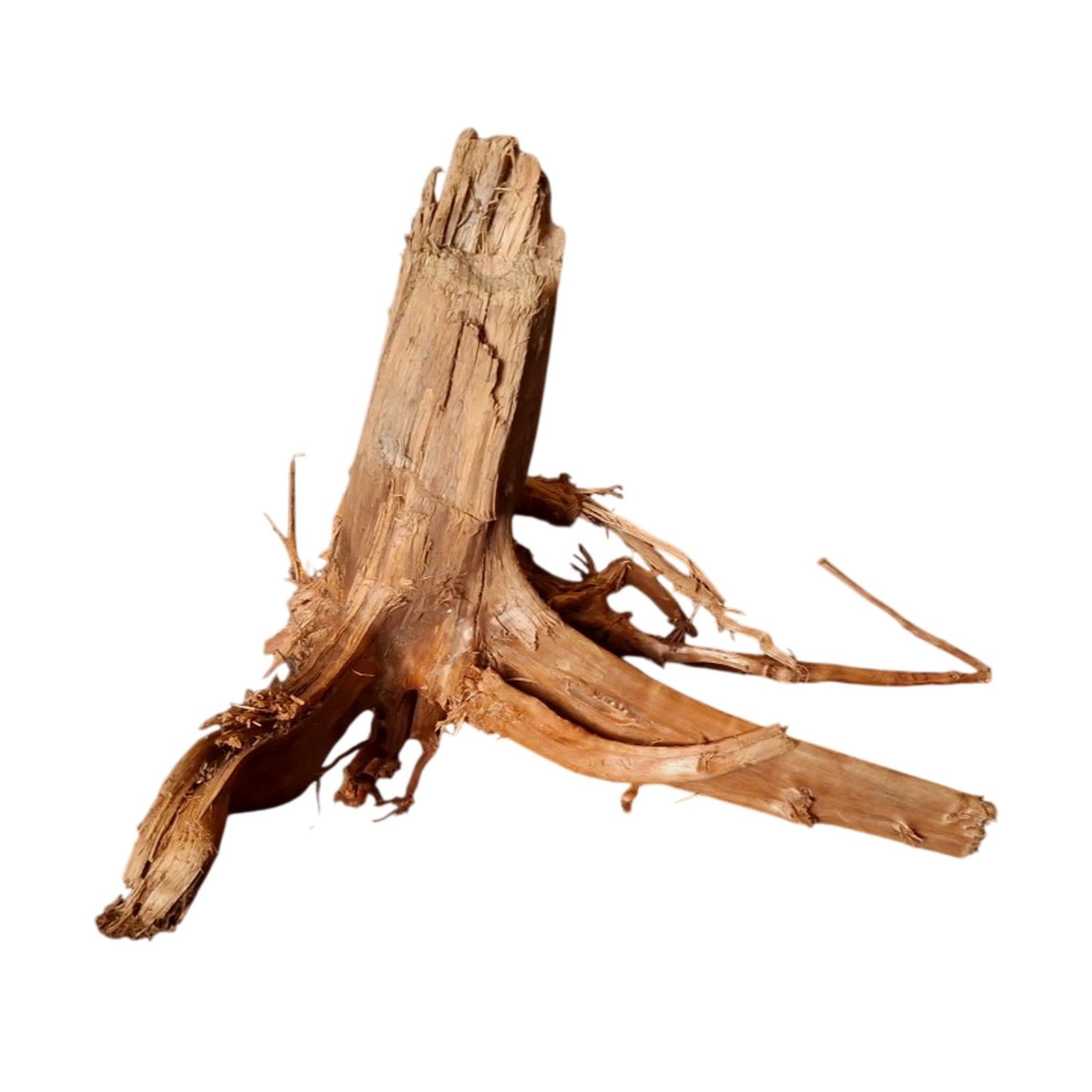 Tuskwood Akvarierot WYSIWYG Äkta Bogwood Unik 40 cm P102620 – Bild 6