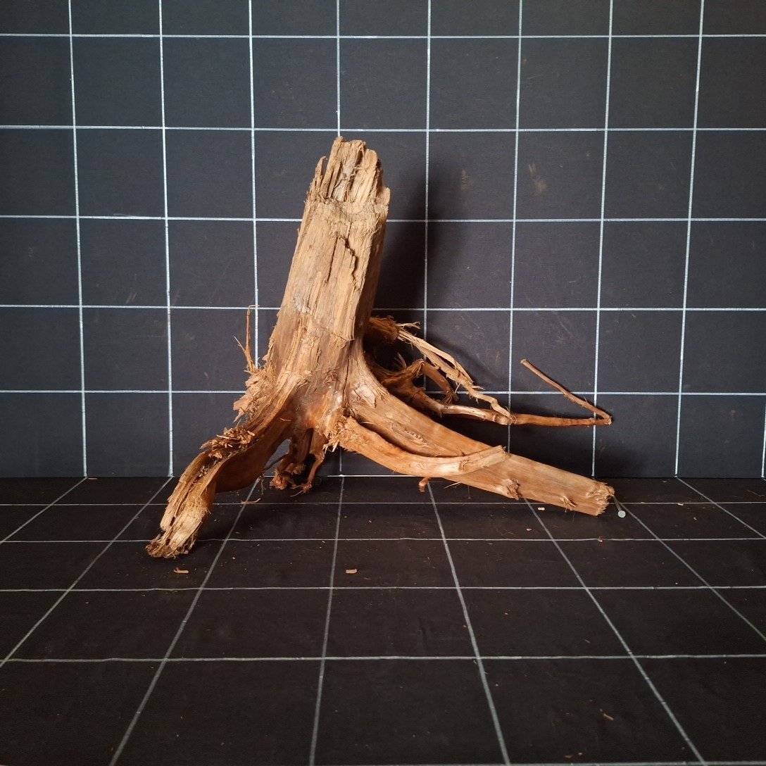 Tuskwood Akvarierot WYSIWYG Äkta Bogwood Unik 40 cm P102620 – Bild 4