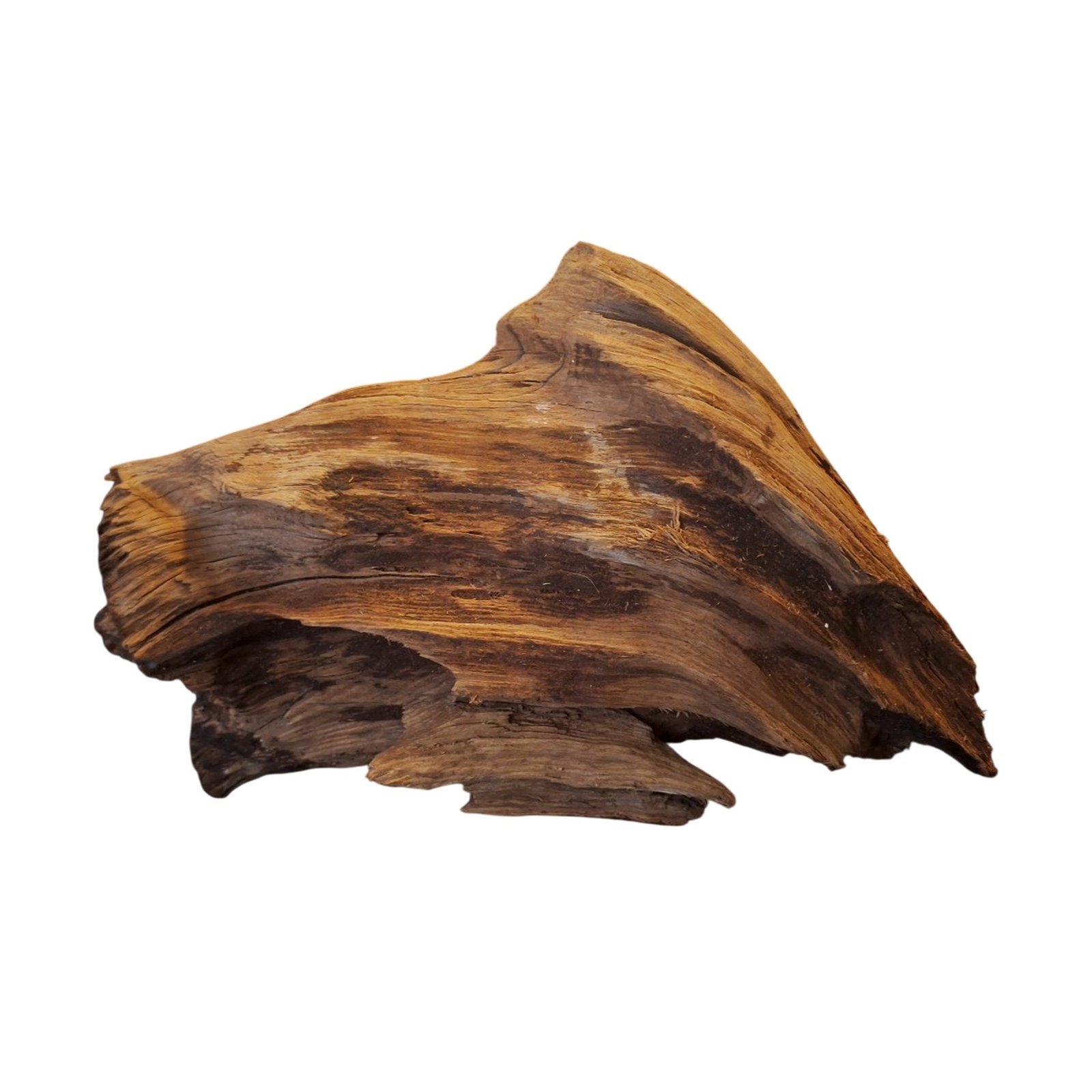 Tuskwood Akvarierot WYSIWYG Äkta Bogwood Unik 49 cm P102621 - Kuva 7