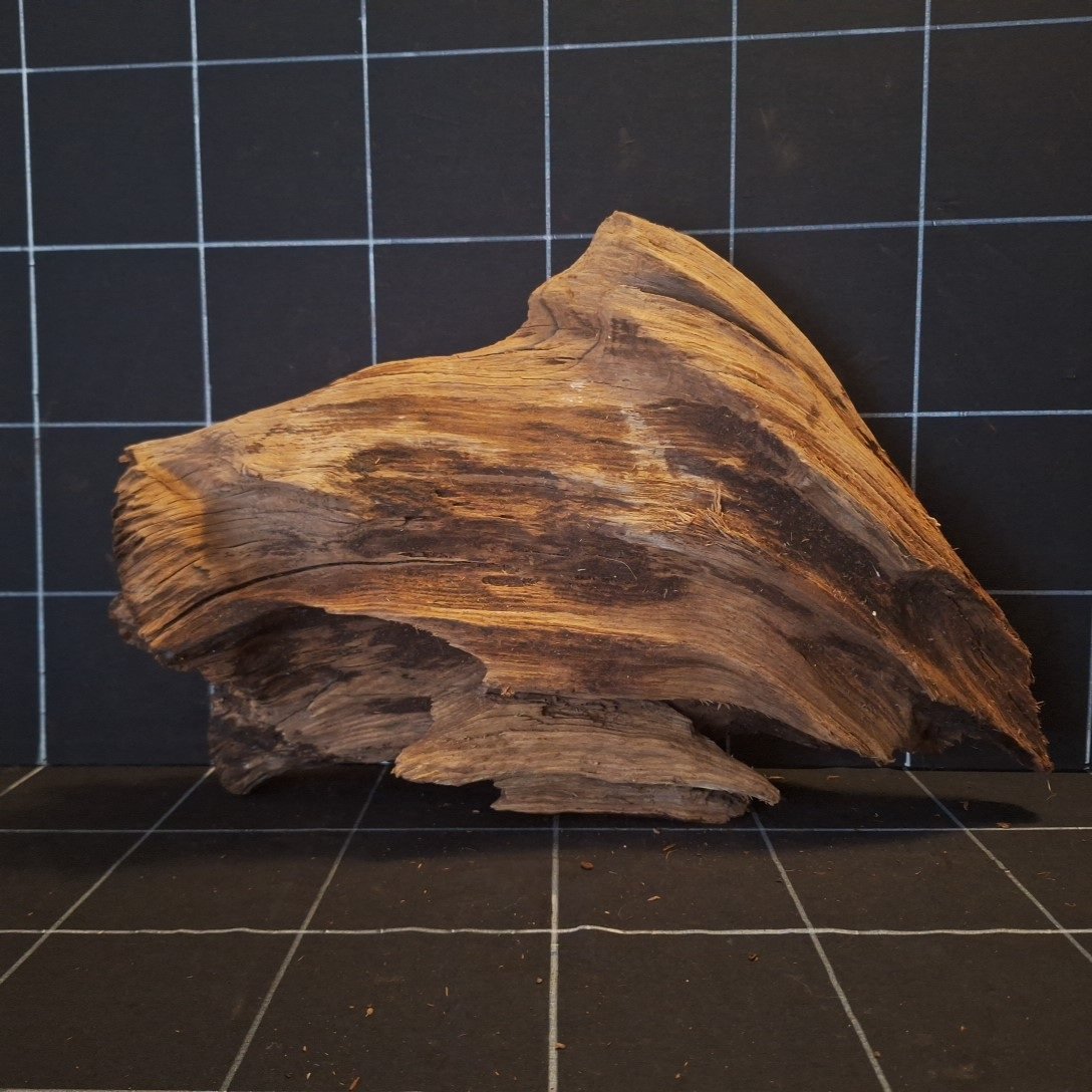 Tuskwood Akvarierot WYSIWYG Äkta Bogwood Unik 49 cm P102621 - Kuva 4