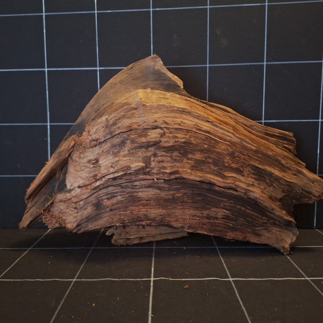 Tuskwood Akvarierot WYSIWYG Äkta Bogwood Unik 49 cm P102621 - Kuva 5
