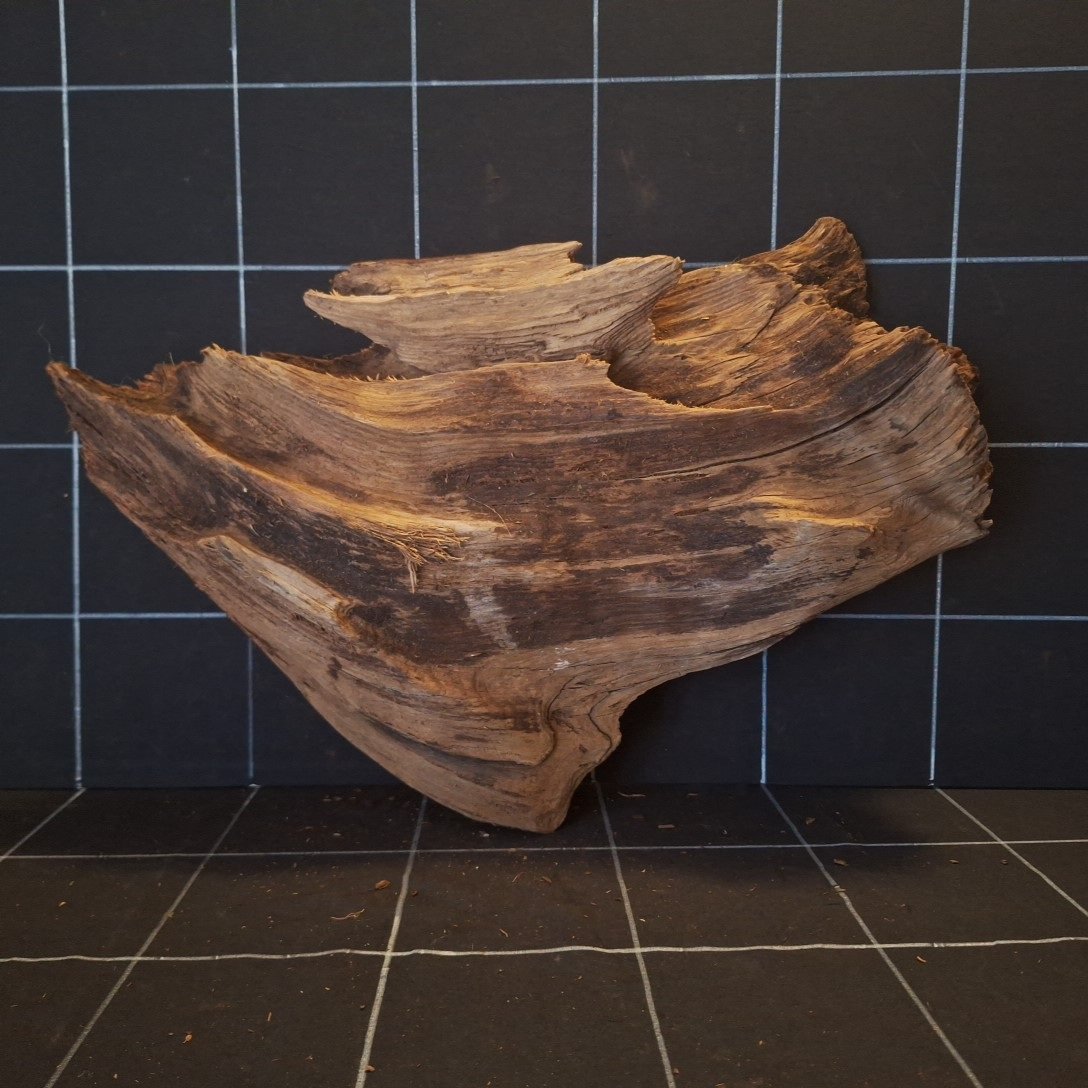 Tuskwood Akvarierot WYSIWYG Äkta Bogwood Unik 49 cm P102621 - Kuva 6