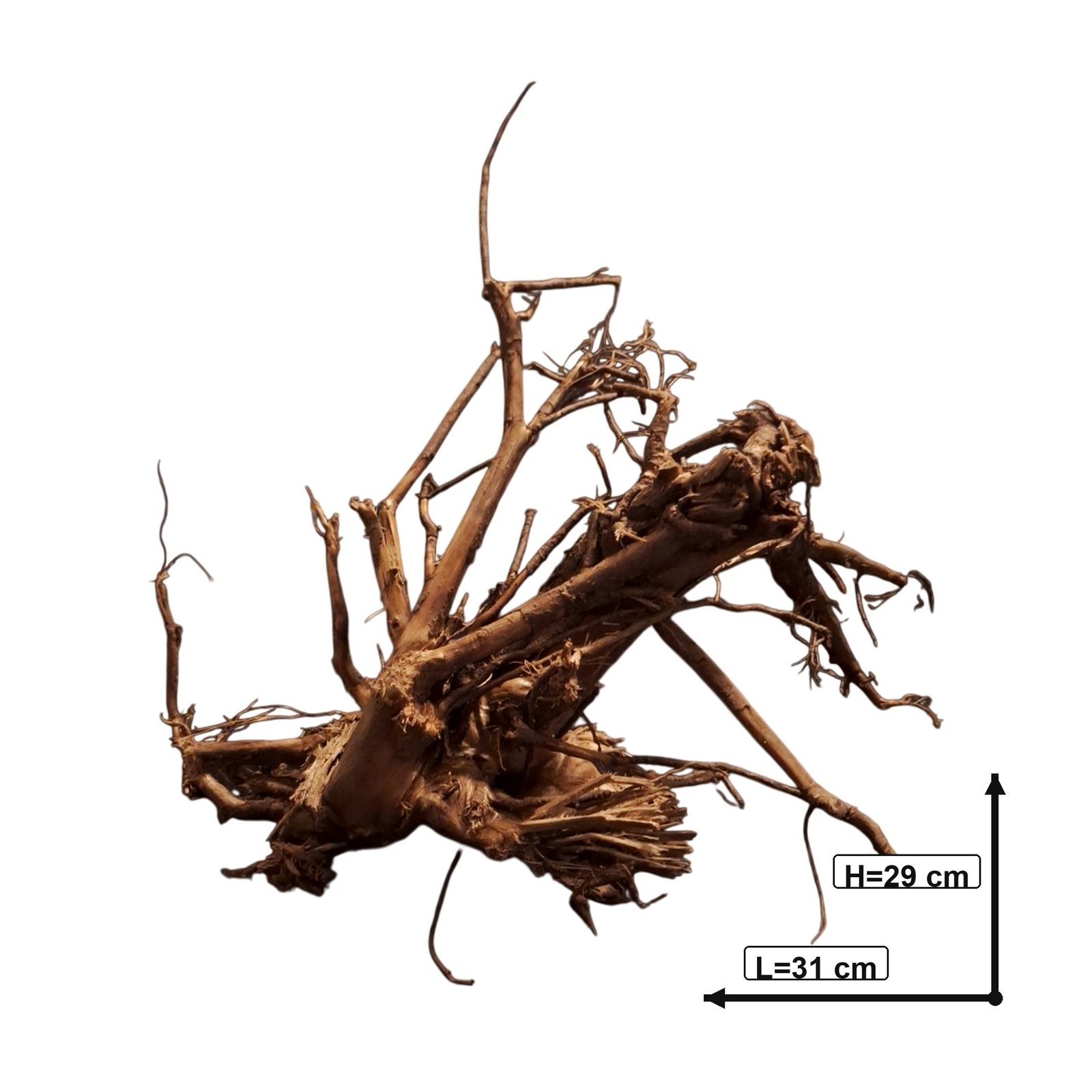 Tuskwood Akvarierot WYSIWYG Äkta Bogwood Unik 31 cm P102622 - Afbeelding 3
