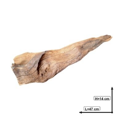 Tuskwood Aquarienwurzel aus echtem Moorholz, 47 cm, P112618
