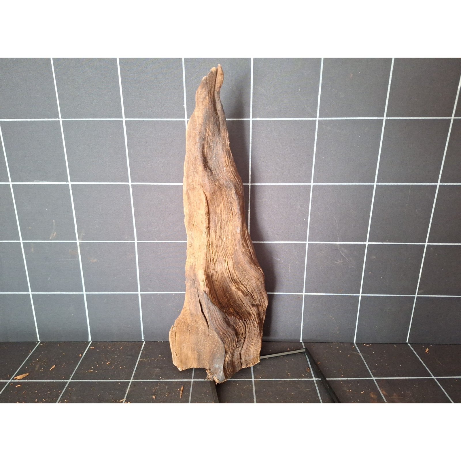 Tuskwood Aquarienwurzel aus echtem Moorholz, 47 cm, P112618