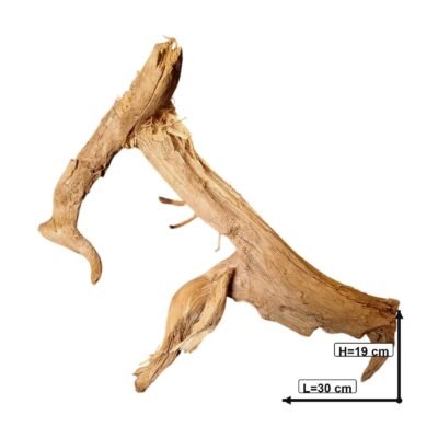 Måttsatt bild av Tuskwood akvarierot äkta bogwood 30 cm P112619
