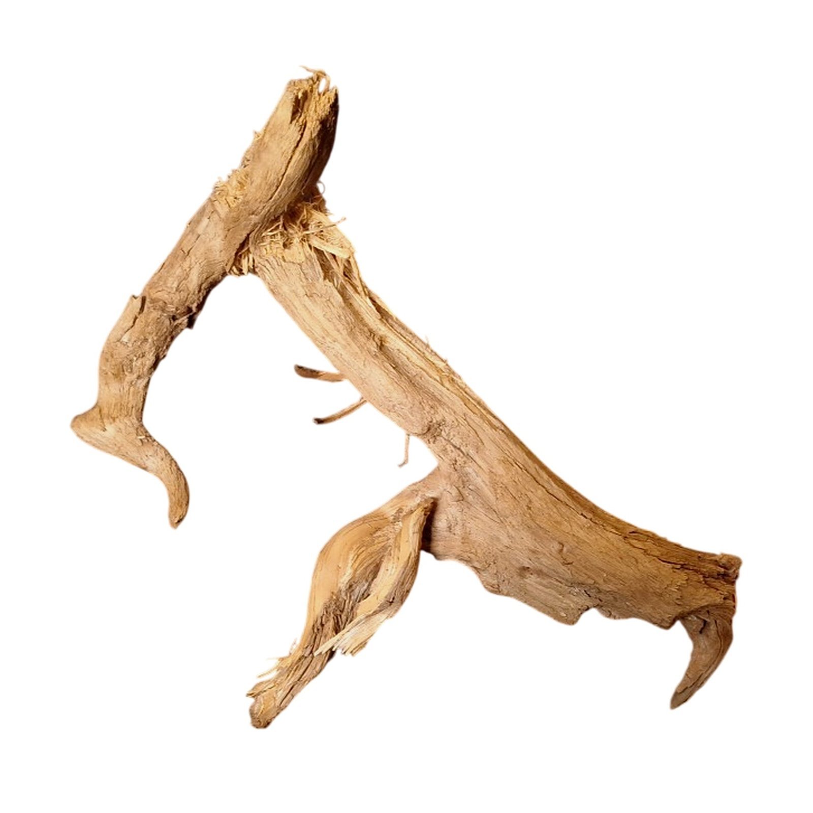 Frilagd Tuskwood akvarierot WYSIWYG äkta bogwood 30 cm P112619 mot vit bakgrund