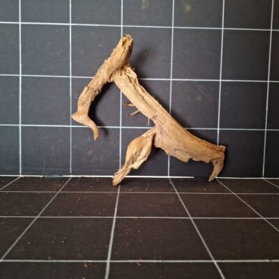 Tuskwood akvarierot äkta bogwood 30 cm P112619 sedd framifrån