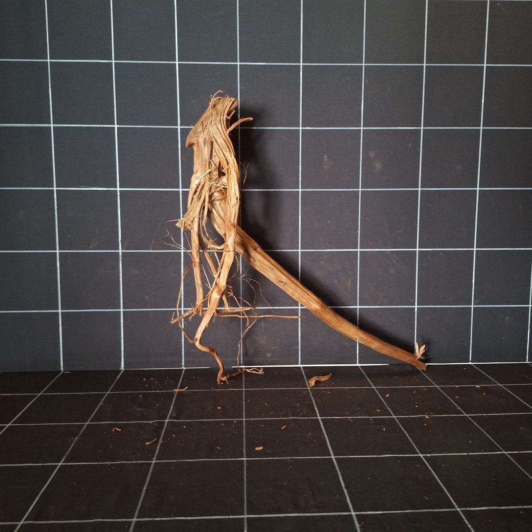 Tuskwood Akvarierot WYSIWYG Äkta Bogwood Unik 45 cm P112620 – Bild 5