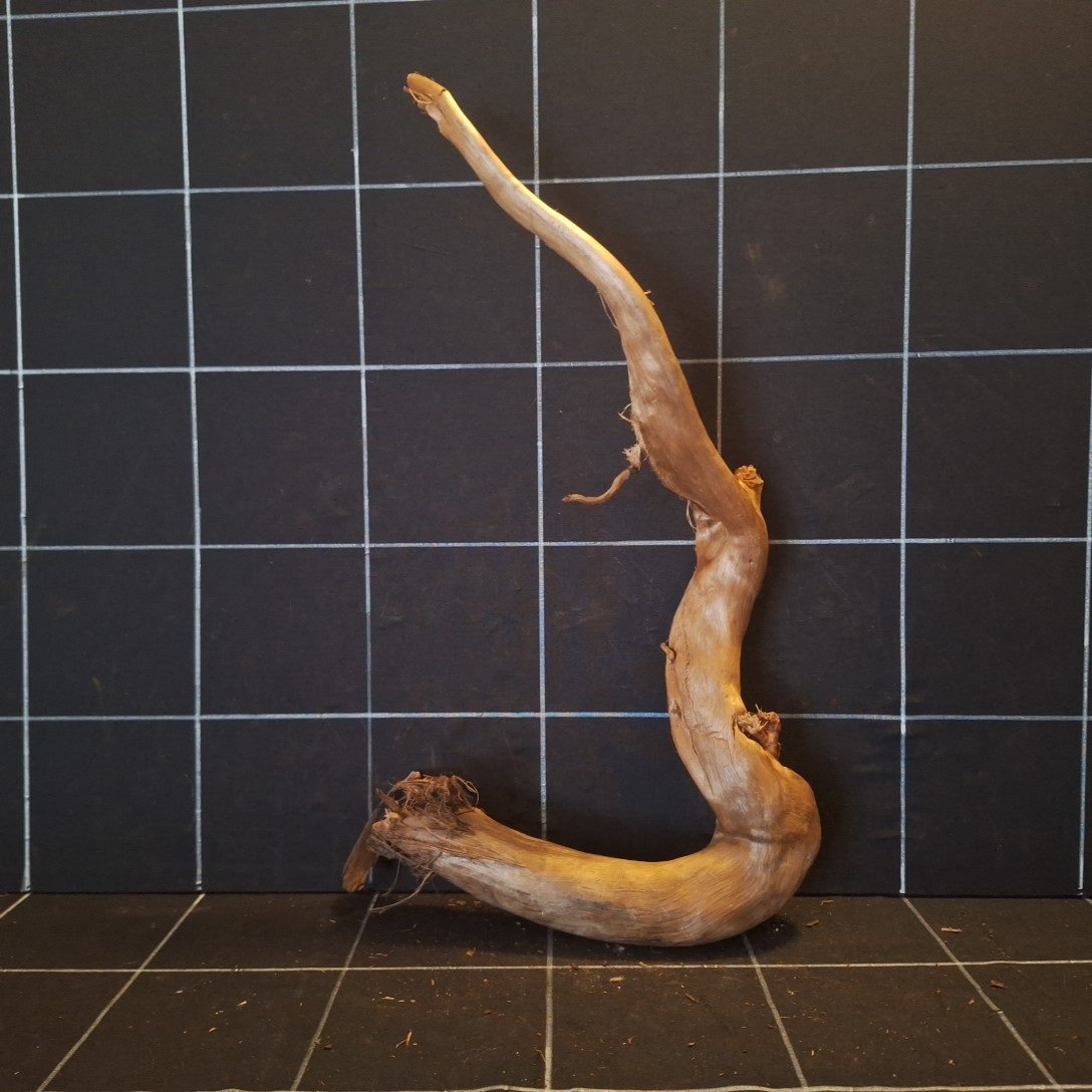 Tuskwood Akvarierot WYSIWYG Äkta Bogwood Unik 46 cm P112621 - Afbeelding 4