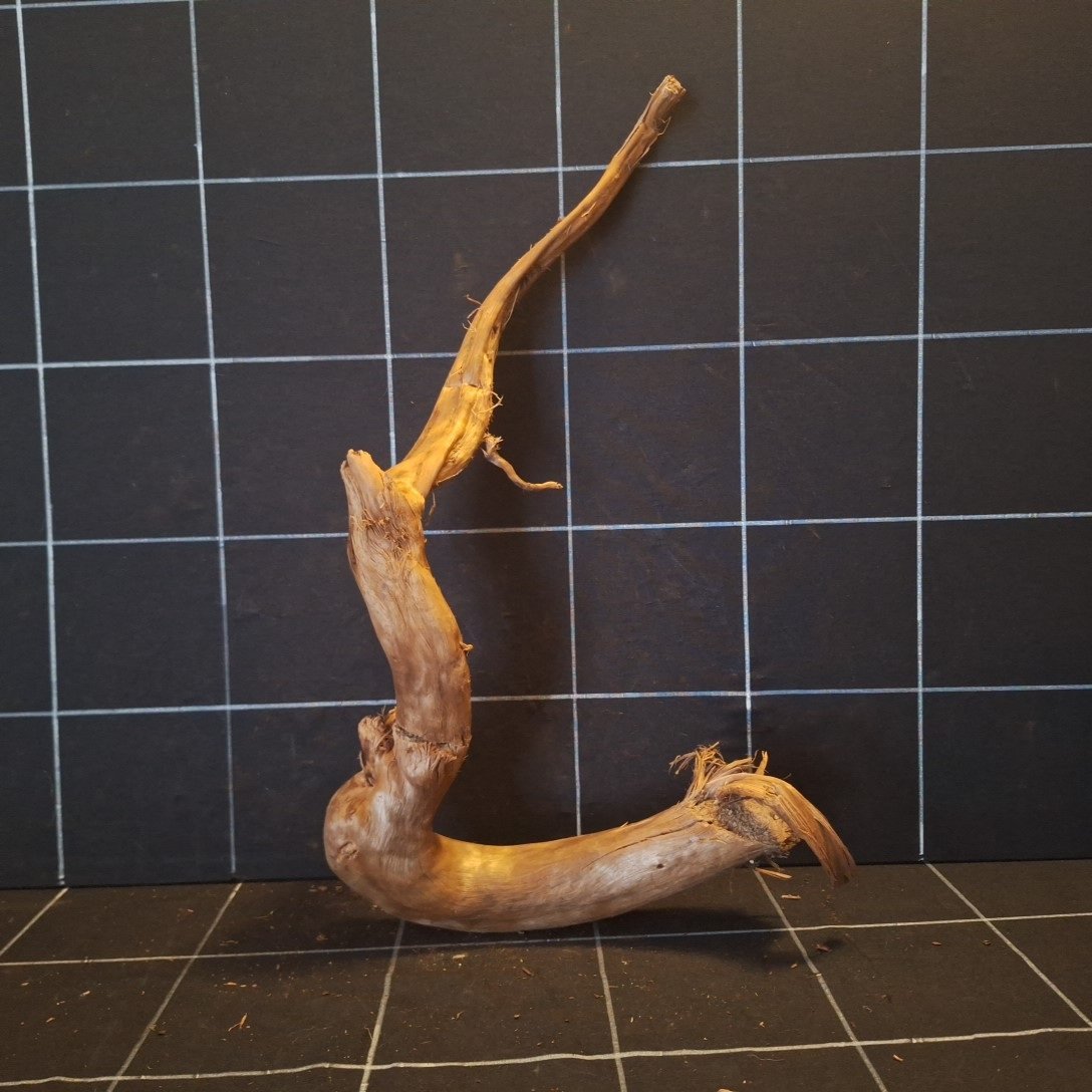 Tuskwood Akvarierot WYSIWYG Äkta Bogwood Unik 46 cm P112621 - Afbeelding 5