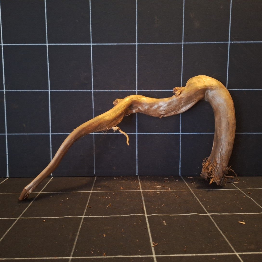 Tuskwood Akvarierot WYSIWYG Äkta Bogwood Unik 46 cm P112621 - Afbeelding 6
