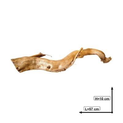 Måttsatt bild av Tuskwood akvarierot äkta bogwood 57 cm P122619