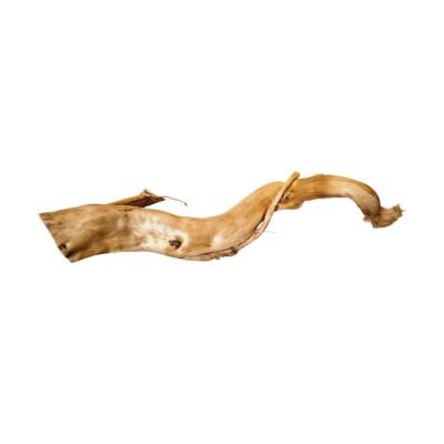 Frilagd Tuskwood akvarierot WYSIWYG äkta bogwood 57 cm P122619 mot vit bakgrund
