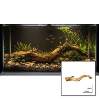 Tuskwood Akvarierot WYSIWYG Äkta Bogwood Unik 57 cm P122619