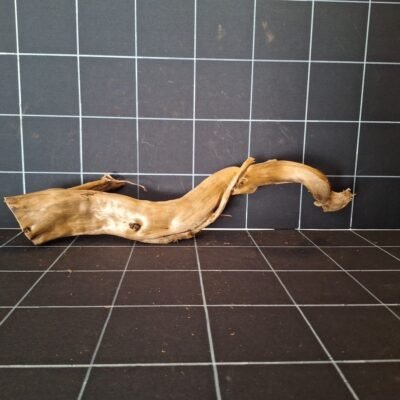 Tuskwood akvarierot äkta bogwood 57 cm P122619 sedd framifrån