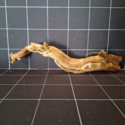Tuskwood akvarierot äkta bogwood 57 cm P122619 sedd bakifrån