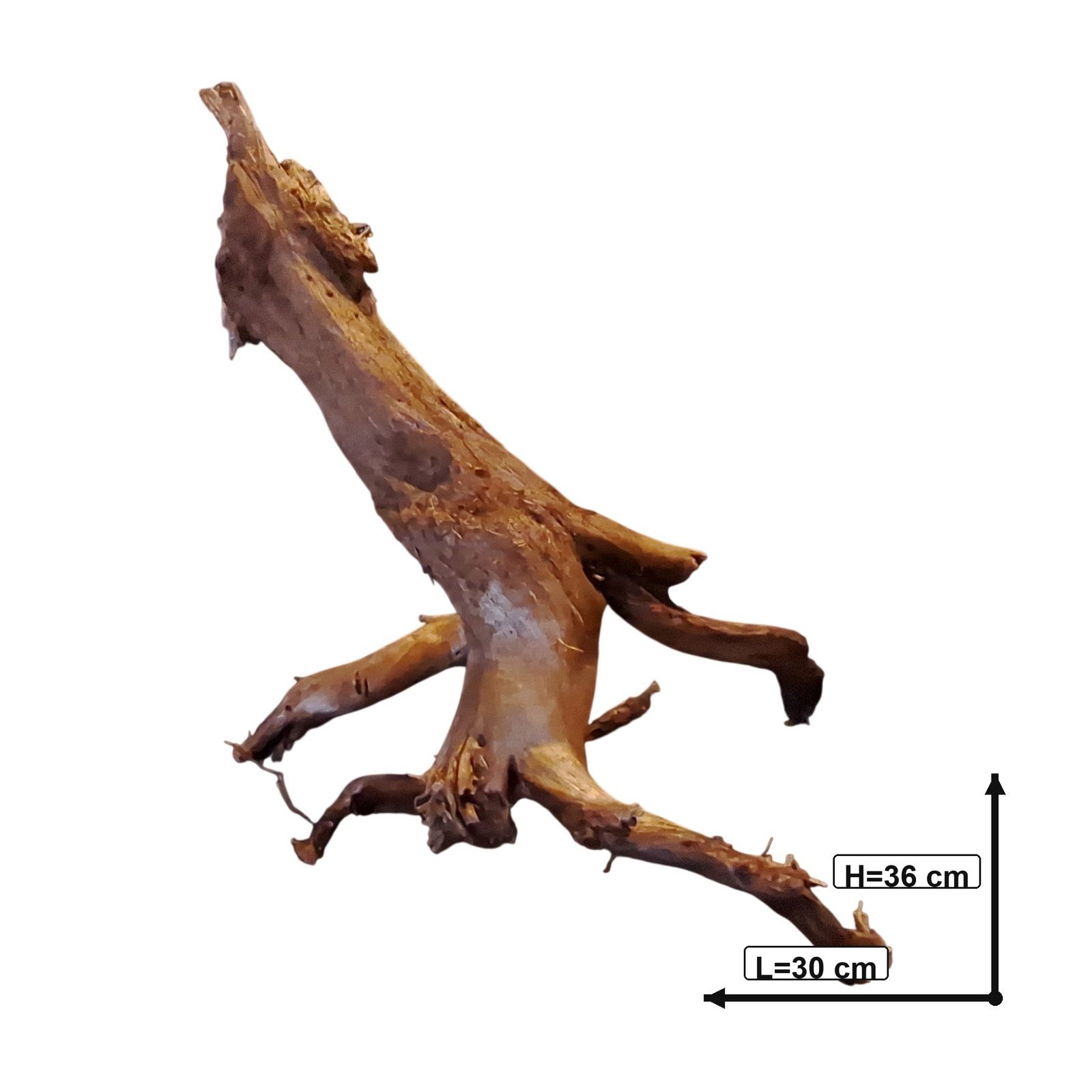 Tuskwood Akvarierot WYSIWYG Äkta Bogwood Unik 36 cm P122621 - Billede 3
