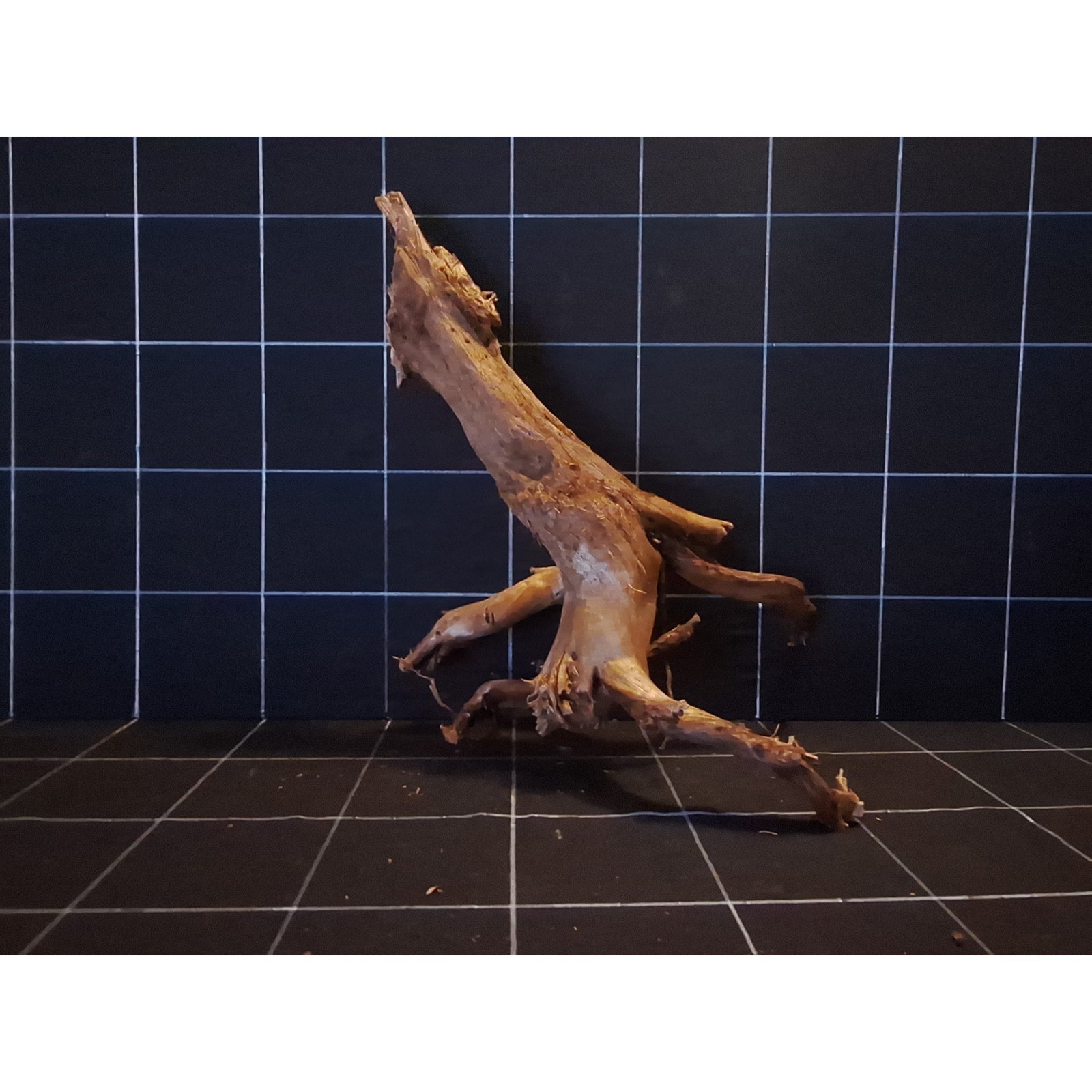 Tuskwood Akvarierot WYSIWYG Äkta Bogwood Unik 36 cm P122621 - Billede 4