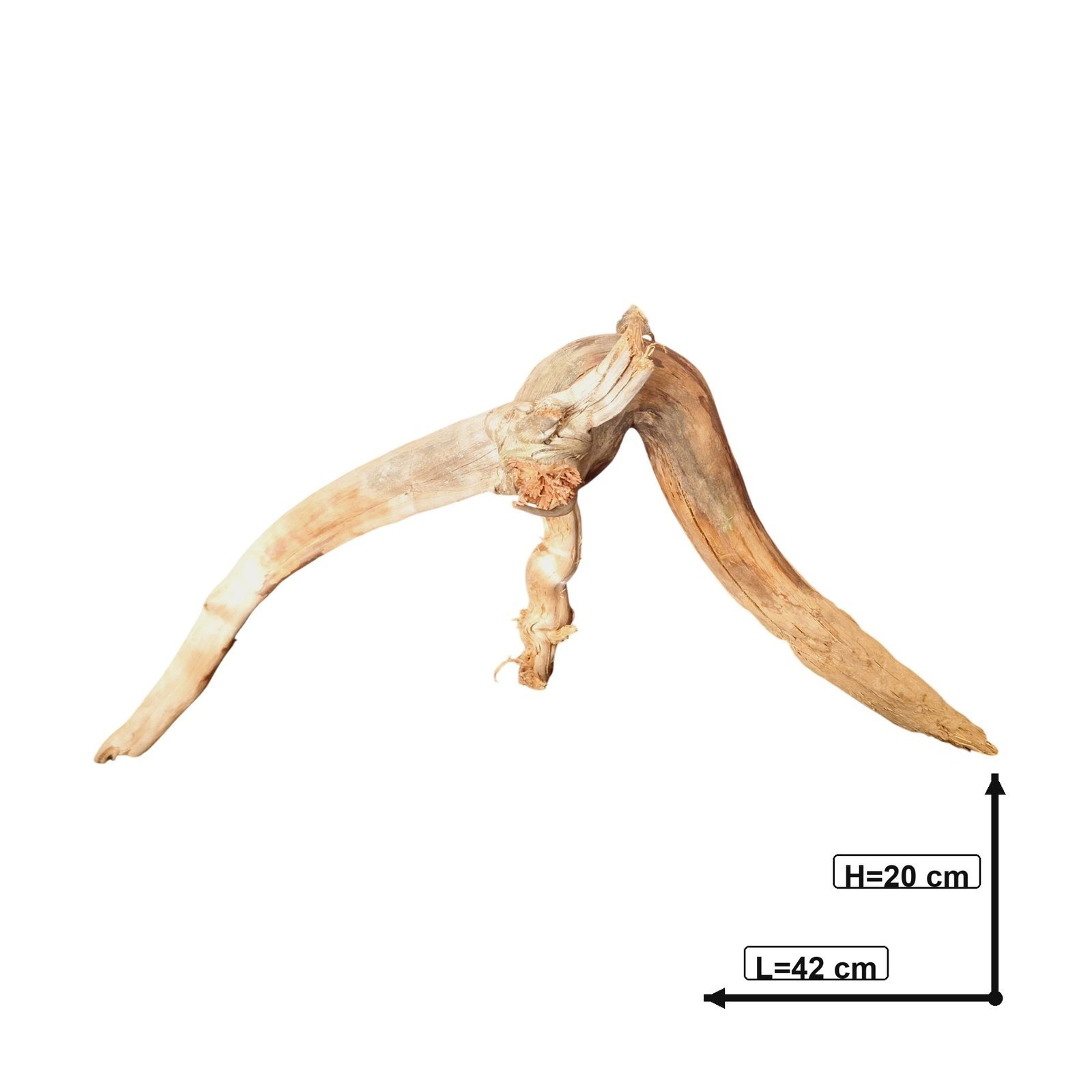 Tuskwood Aquarienwurzel aus echtem Moorholz, 42 cm, P132618