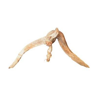 Tuskwood Aquarienwurzel aus echtem Moorholz, 42 cm, P132618