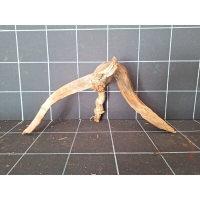 Tuskwood Aquarienwurzel aus echtem Moorholz, 42 cm, P132618