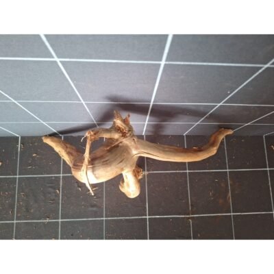 Tuskwood Aquarienwurzel aus echtem Moorholz, 42 cm, P132618