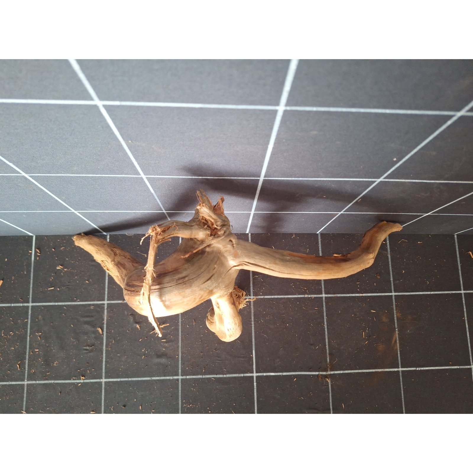 Tuskwood Aquarienwurzel aus echtem Moorholz, 42 cm, P132618