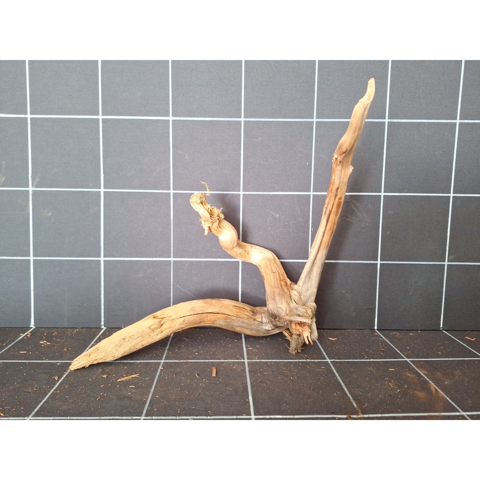Tuskwood Aquarienwurzel aus echtem Moorholz, 42 cm, P132618