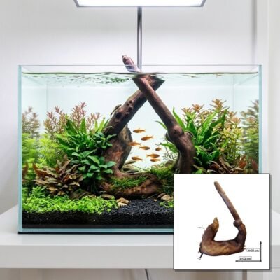 Tuskwood Korzeń akwariowy WYSIWYG Genuine Bogwood Unique 35 cm P132621