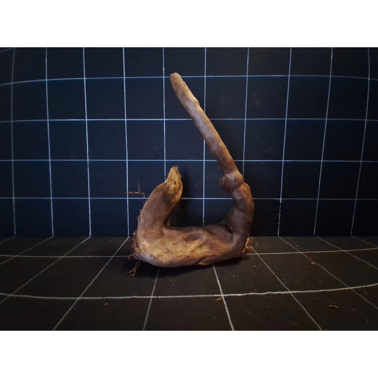 Tuskwood Akvarierot WYSIWYG Äkta Bogwood Unik 35 cm P132621 - Afbeelding 4