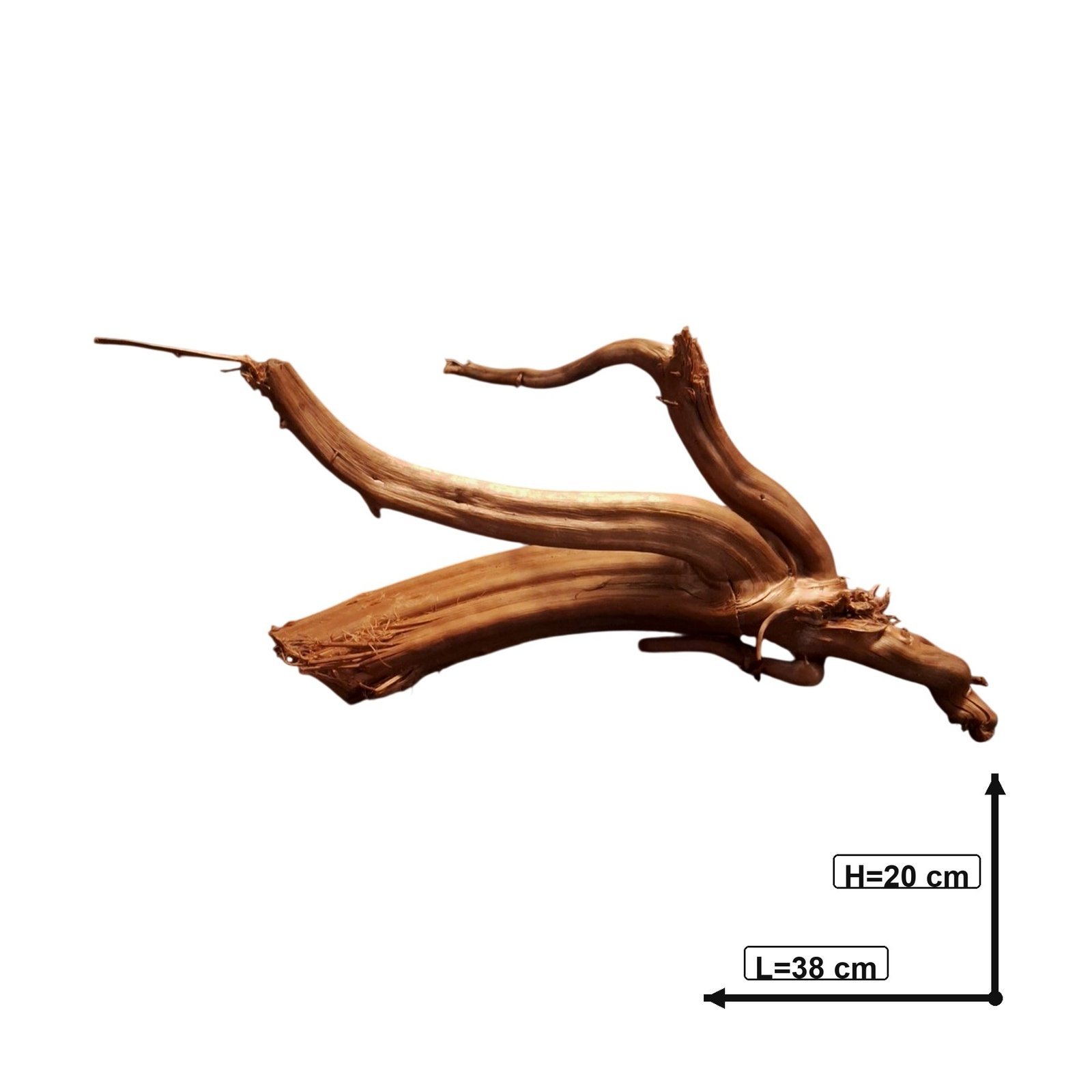 Tuskwood Akvarierot WYSIWYG Äkta Bogwood Unik 38 cm P132622 – Bild 3