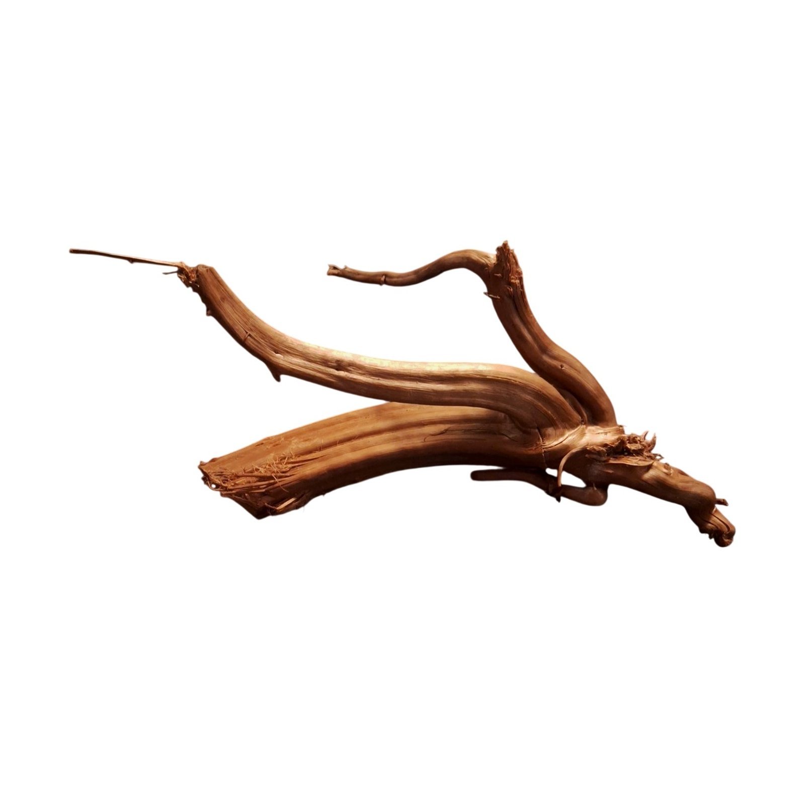 Tuskwood Akvarierot WYSIWYG Äkta Bogwood Unik 38 cm P132622 – Bild 6