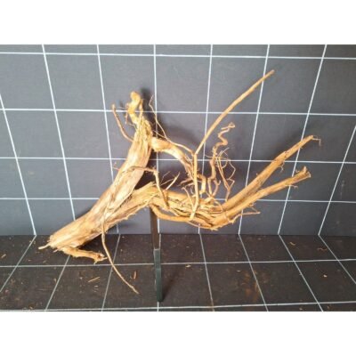 Tuskwood Aquarienwurzel aus echtem Moorholz, 55 cm, P142618